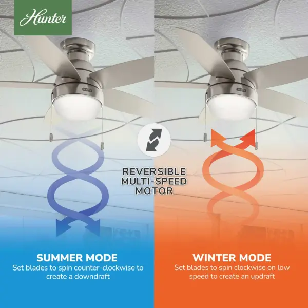 Lilliana with LED Light 44 inch - Image 18