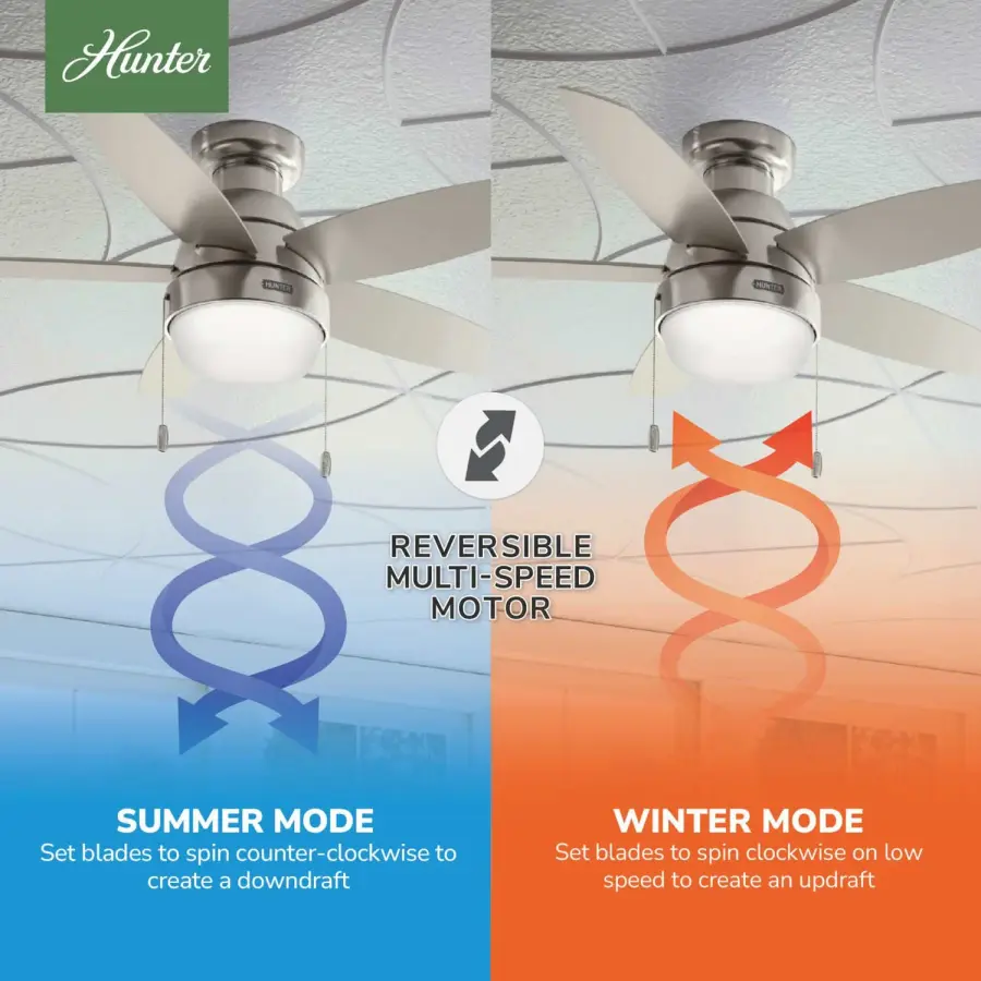 Lilliana with LED Light 44 inch - Image 18