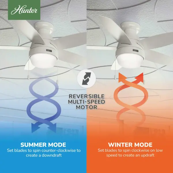 Lilliana with LED Light 44 inch - Image 19