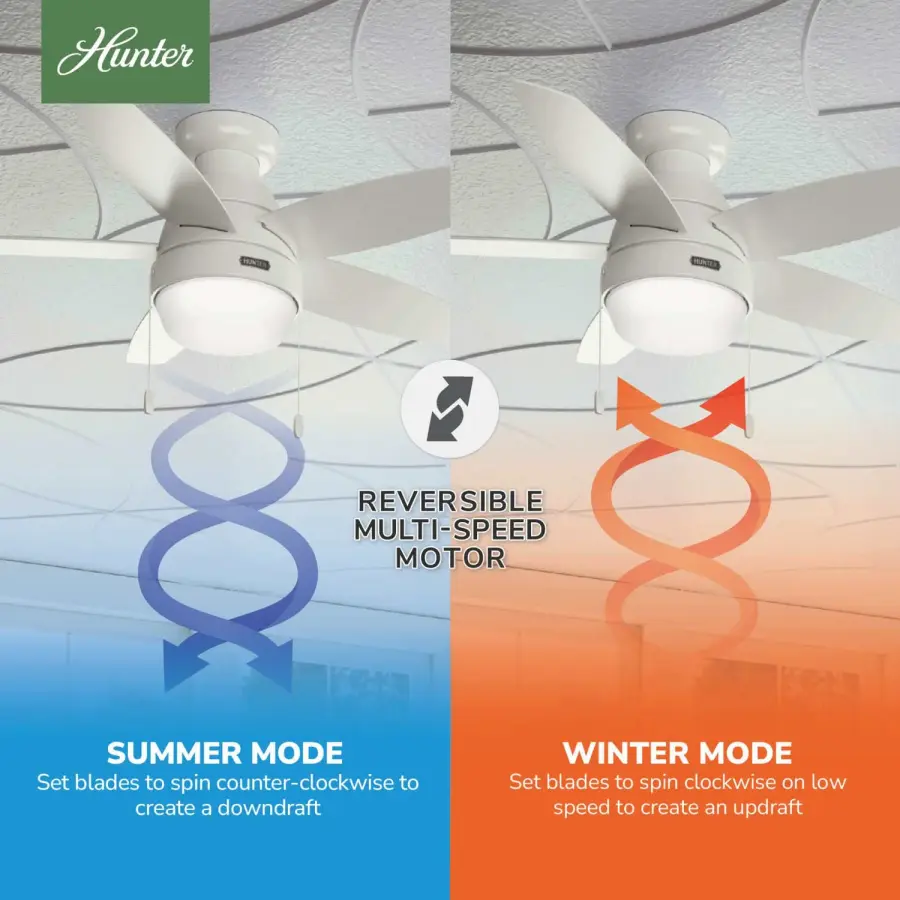 Lilliana with LED Light 44 inch - Image 19