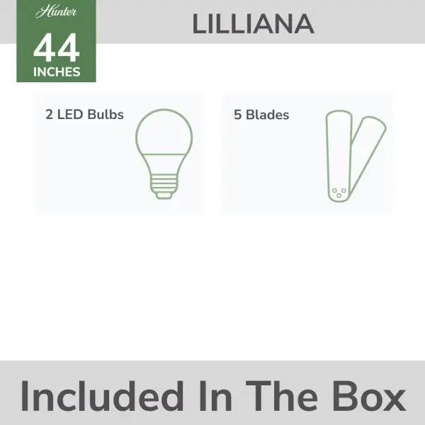 Lilliana with LED Light 44 inch - Image 25