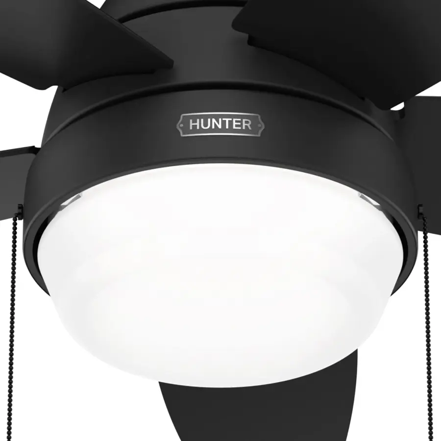 Lilliana with LED Light 44 inch - Image 26