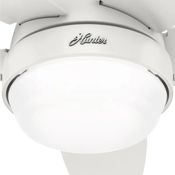 Lilliana with LED Light 44 inch - Image 28