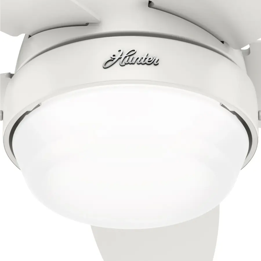 Lilliana with LED Light 44 inch - Image 28