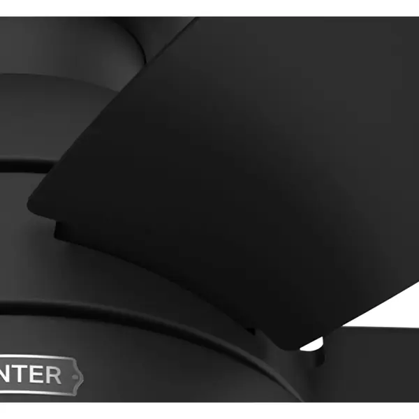 Lilliana with LED Light 44 inch - Image 29