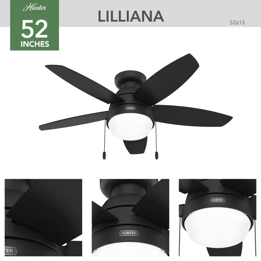 Lilliana with LED Light 44 inch - Image 4