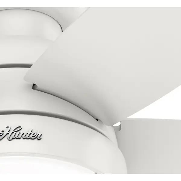 Lilliana with LED Light 44 inch - Image 31