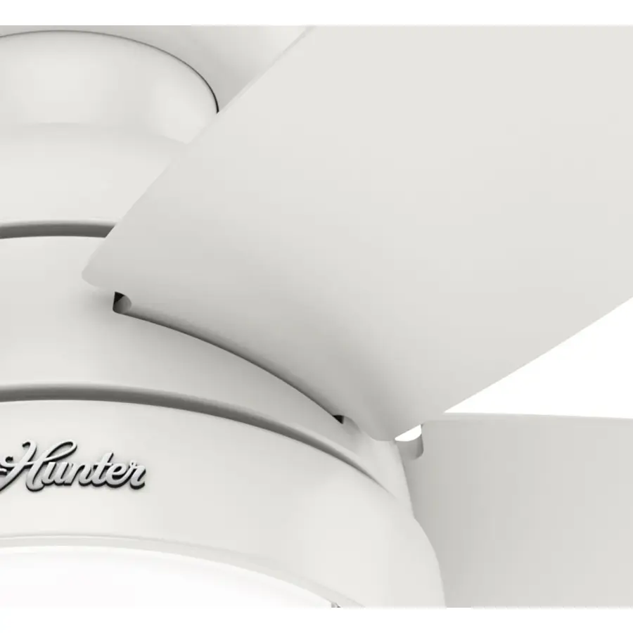 Lilliana with LED Light 44 inch - Image 31