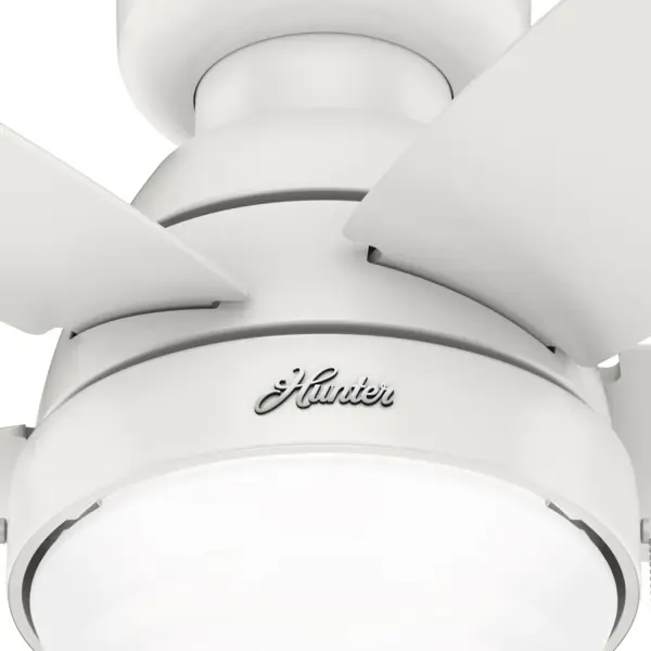 Lilliana with LED Light 44 inch - Image 34