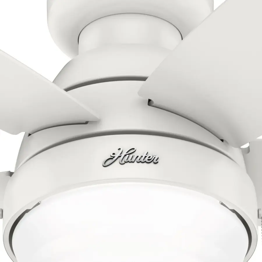 Lilliana with LED Light 44 inch - Image 34