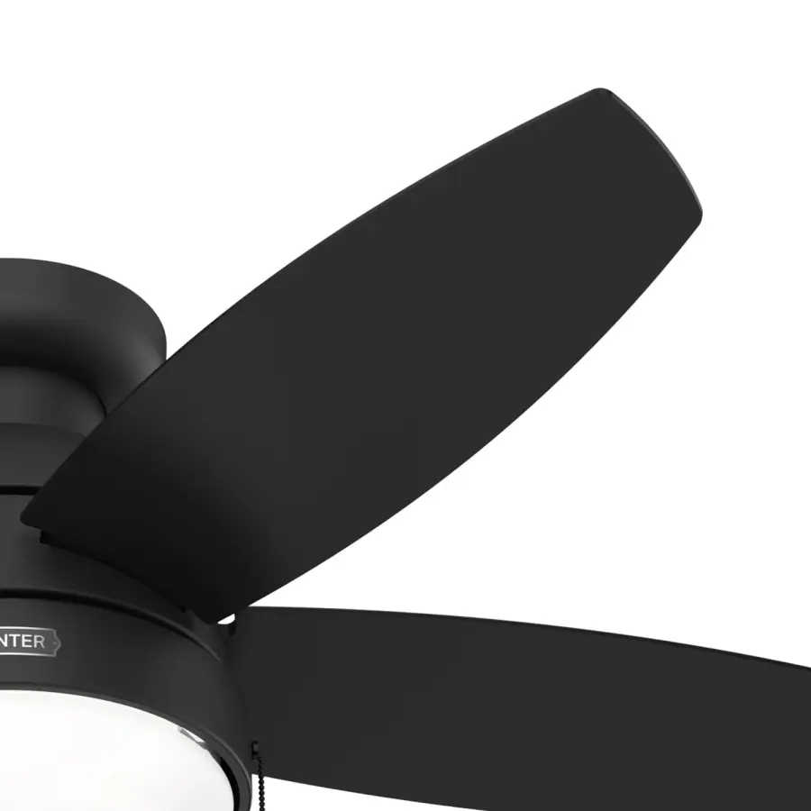 Lilliana with LED Light 44 inch - Image 38