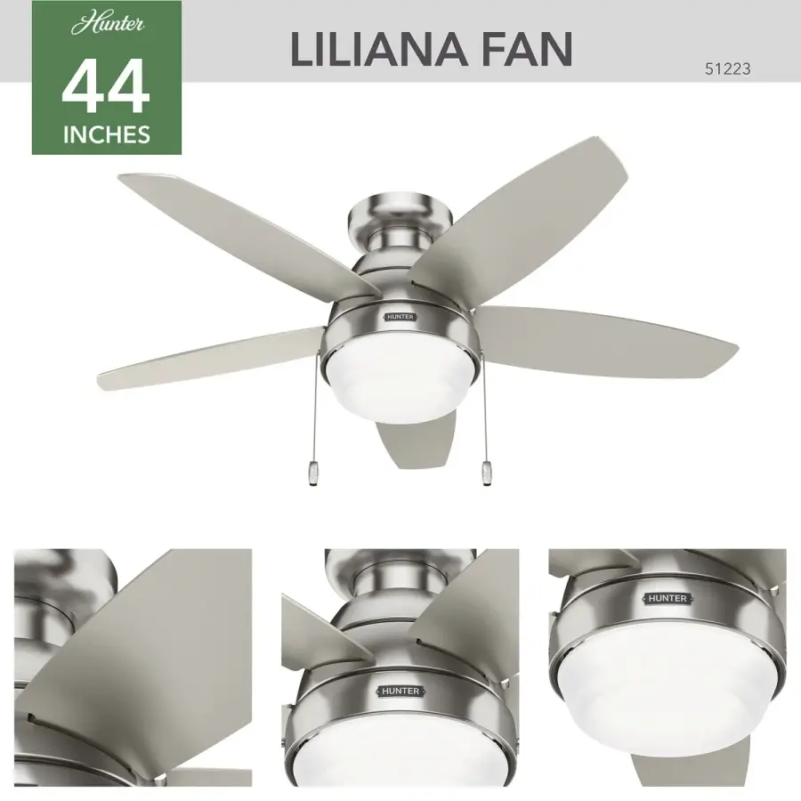 Lilliana with LED Light 44 inch - Image 5