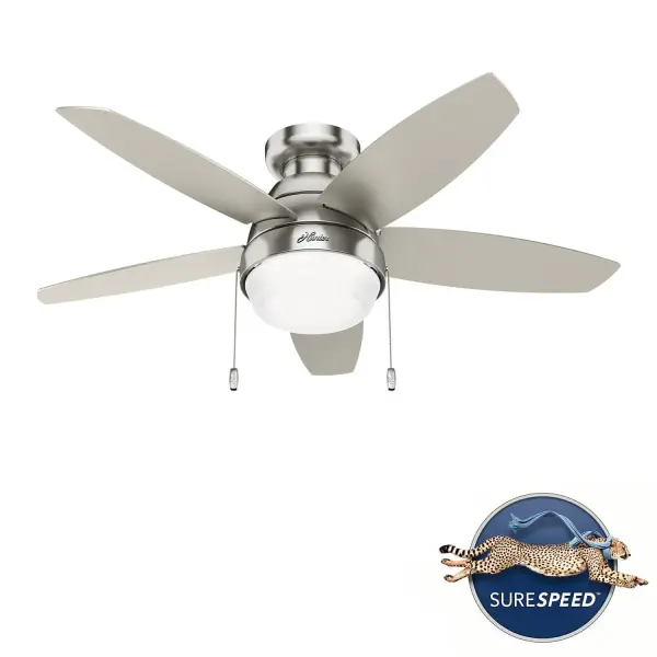 Lilliana with LED Light 44 inch - Image 42