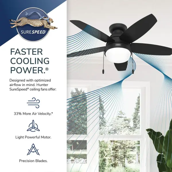 Lilliana with LED Light 44 inch - Image 45