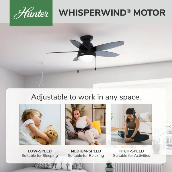 Lilliana with LED Light 44 inch - Image 47