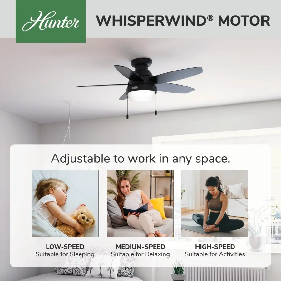 Lilliana with LED Light 44 inch - Image 47