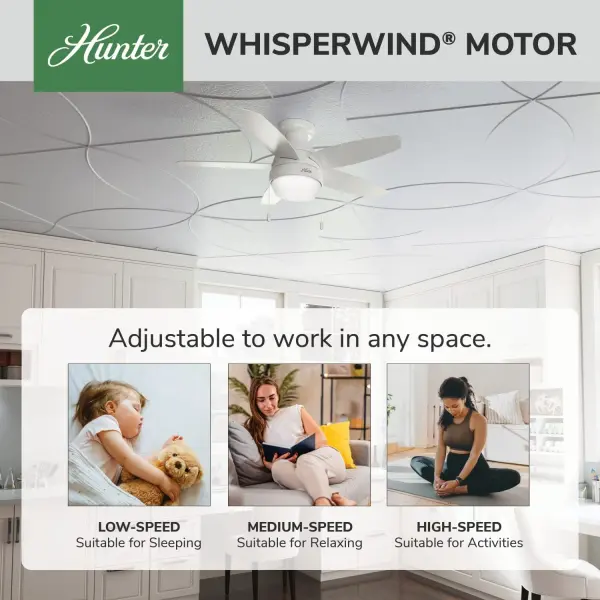 Lilliana with LED Light 44 inch - Image 49