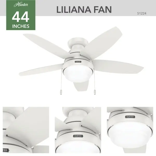 Lilliana with LED Light 44 inch - Image 6