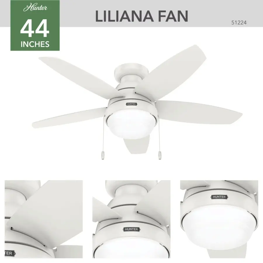 Lilliana with LED Light 44 inch - Image 6