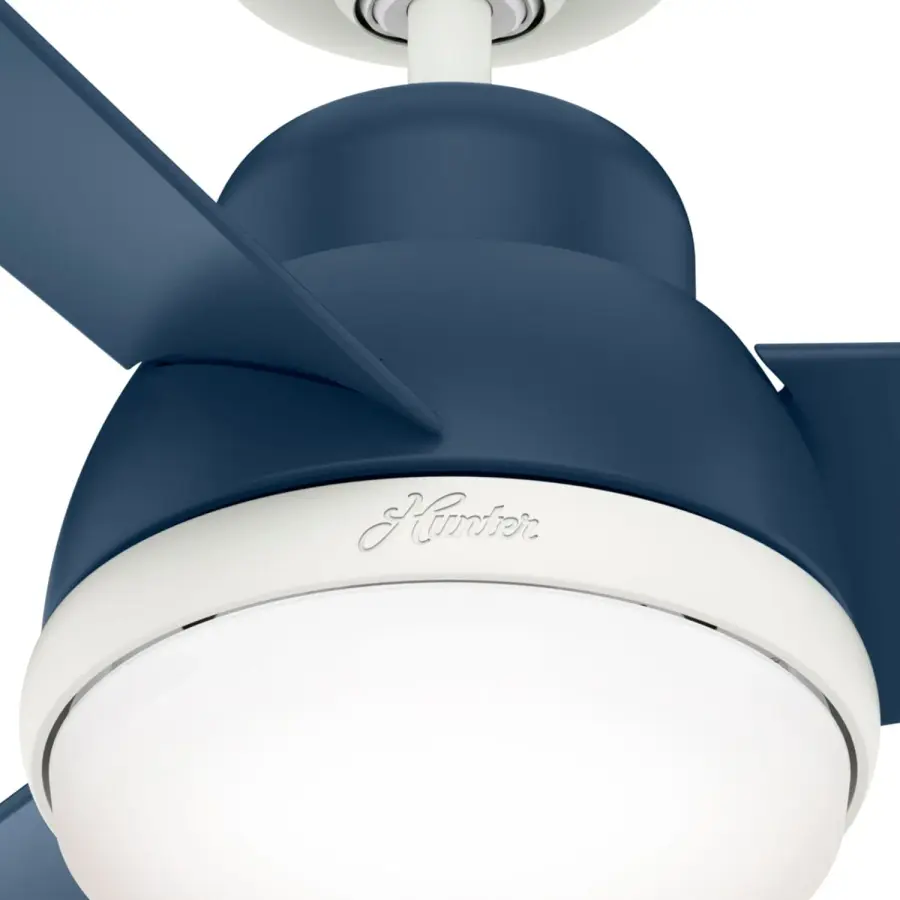 The Ceiling Fans by Hunter - Image 20