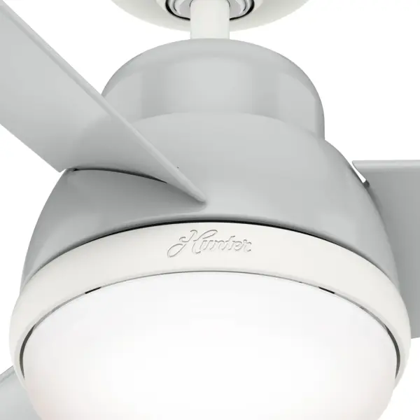 The Ceiling Fans by Hunter - Image 21