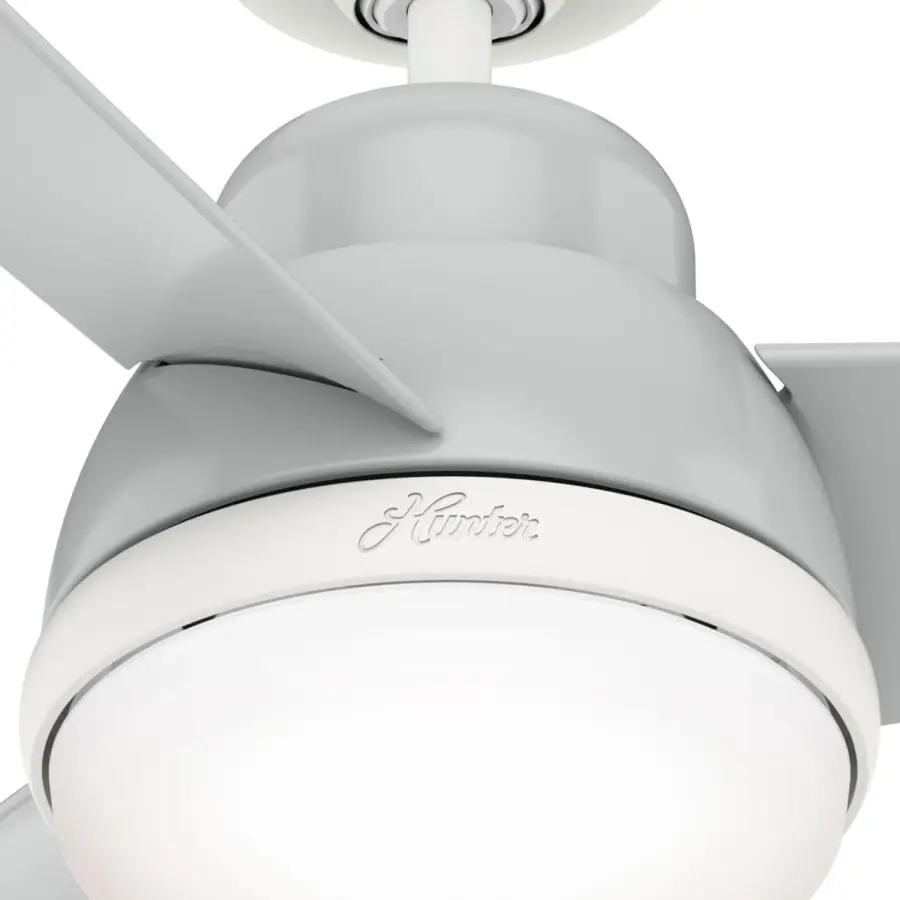 The Ceiling Fans by Hunter - Image 21