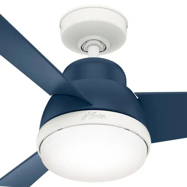 The Ceiling Fans by Hunter - Image 22