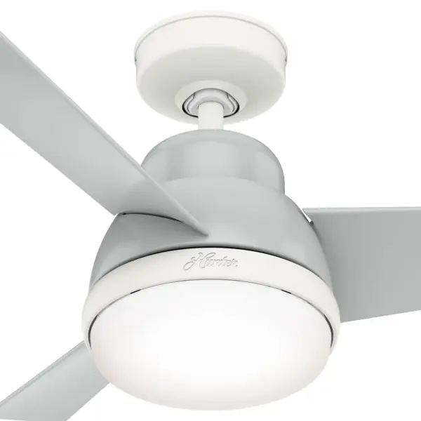The Ceiling Fans by Hunter - Image 23