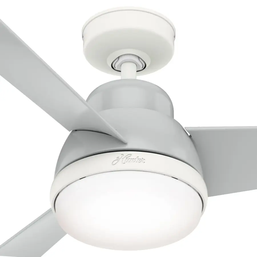 The Ceiling Fans by Hunter - Image 23