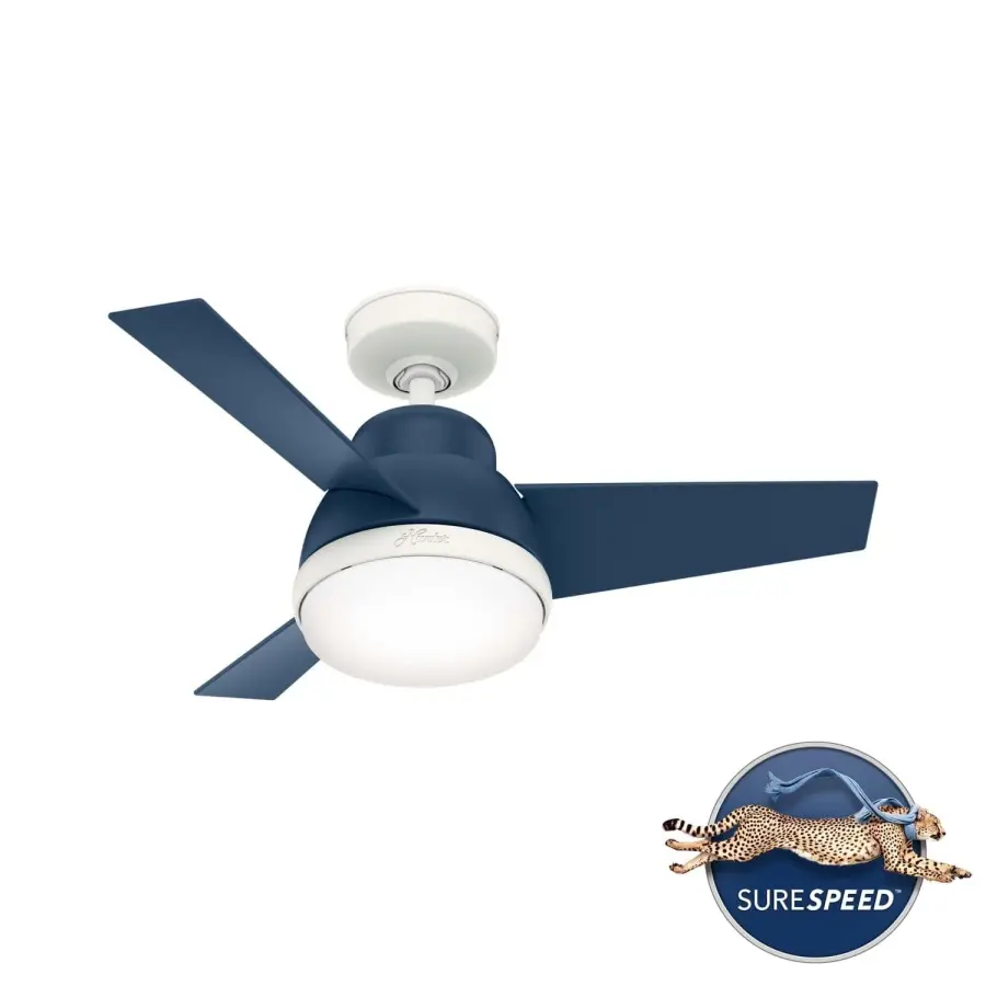 The Ceiling Fans by Hunter - Image 26
