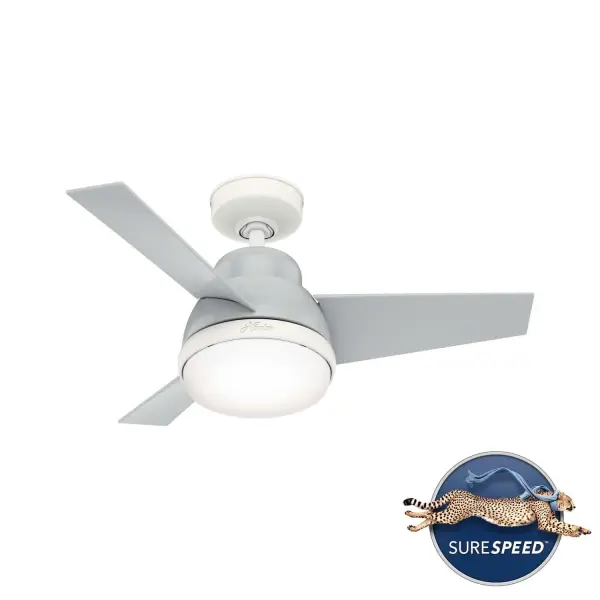 The Ceiling Fans by Hunter - Image 27