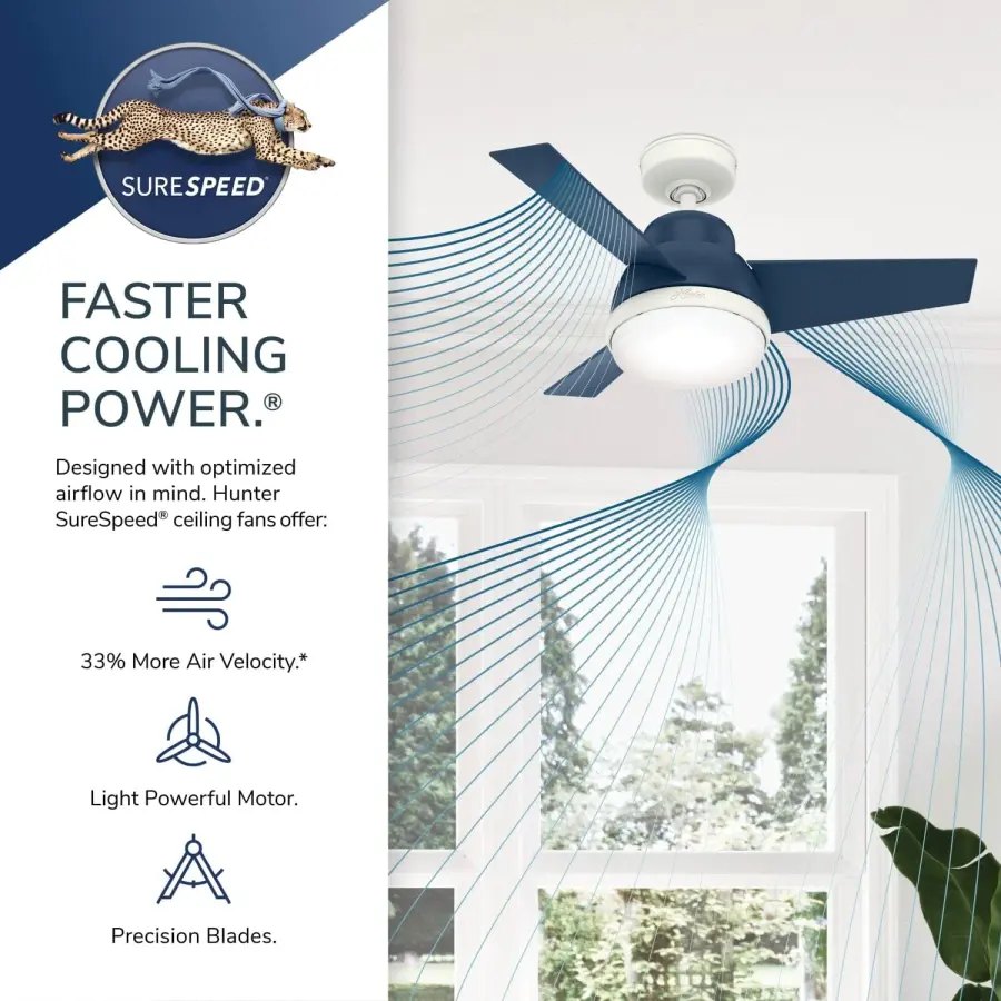 The Ceiling Fans by Hunter - Image 28