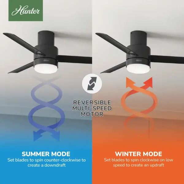 The Ceiling Fans by Hunter - Image 13
