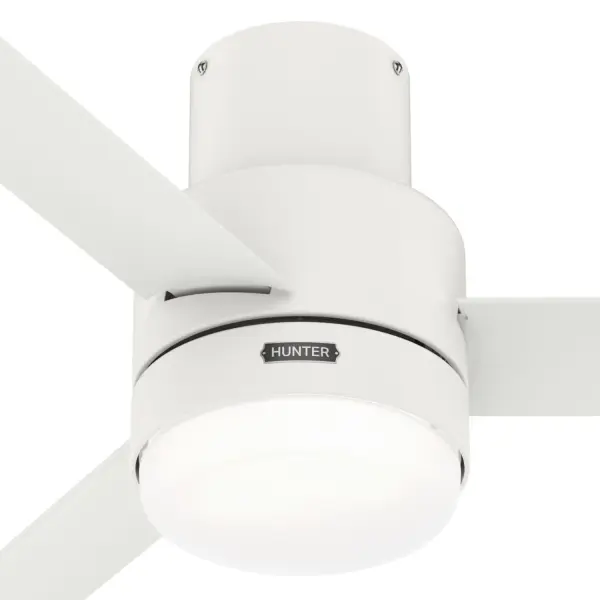 The Ceiling Fans by Hunter - Image 26