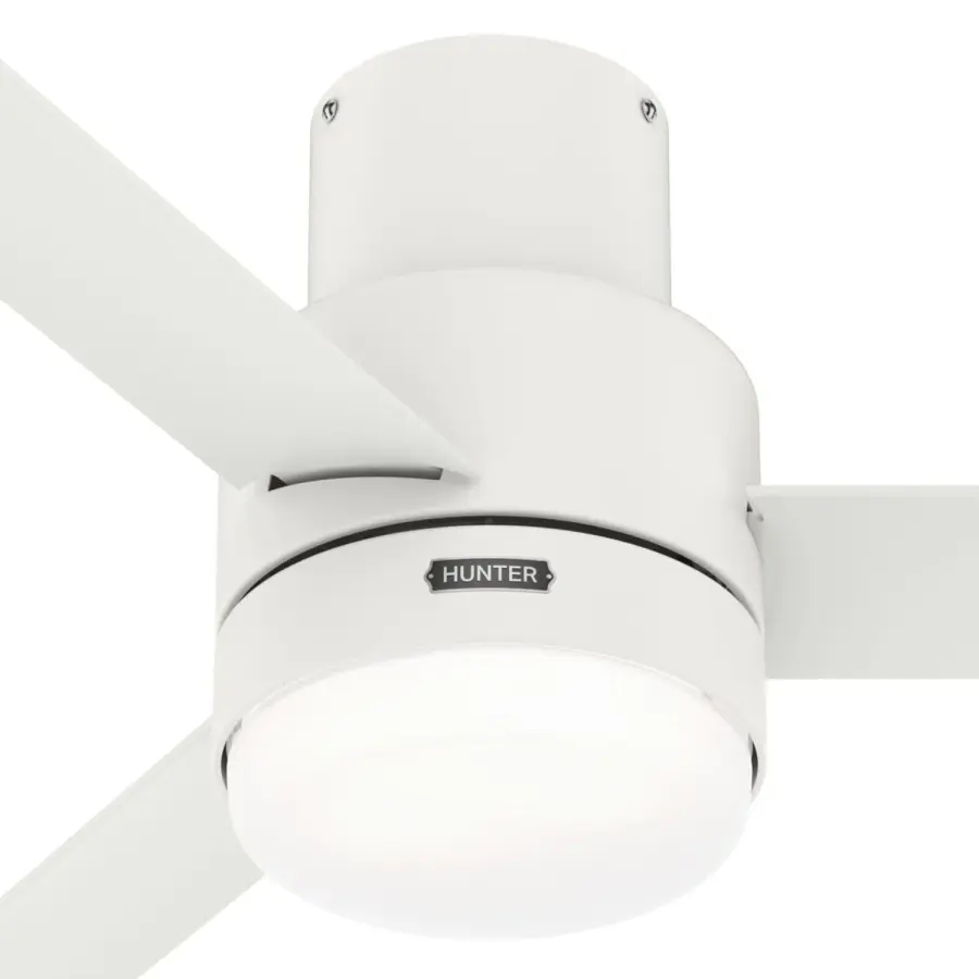 The Ceiling Fans by Hunter - Image 26
