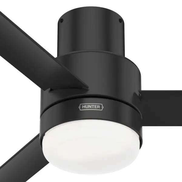 The Ceiling Fans by Hunter - Image 27