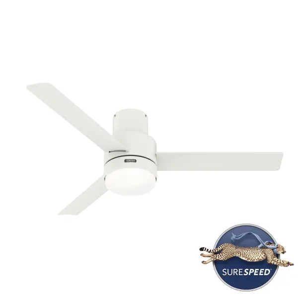 The Ceiling Fans by Hunter - Image 30