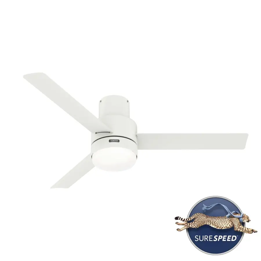 The Ceiling Fans by Hunter - Image 30
