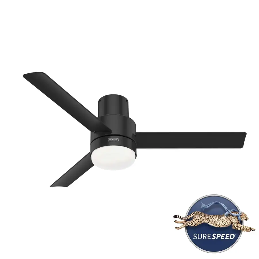 The Ceiling Fans by Hunter - Image 31