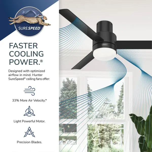 The Ceiling Fans by Hunter - Image 33