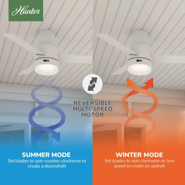 The Ceiling Fans by Hunter - Image 15