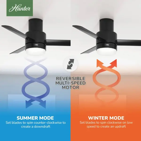 The Ceiling Fans by Hunter - Image 17