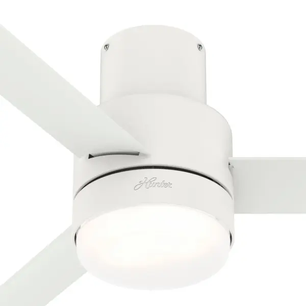 The Ceiling Fans by Hunter - Image 35