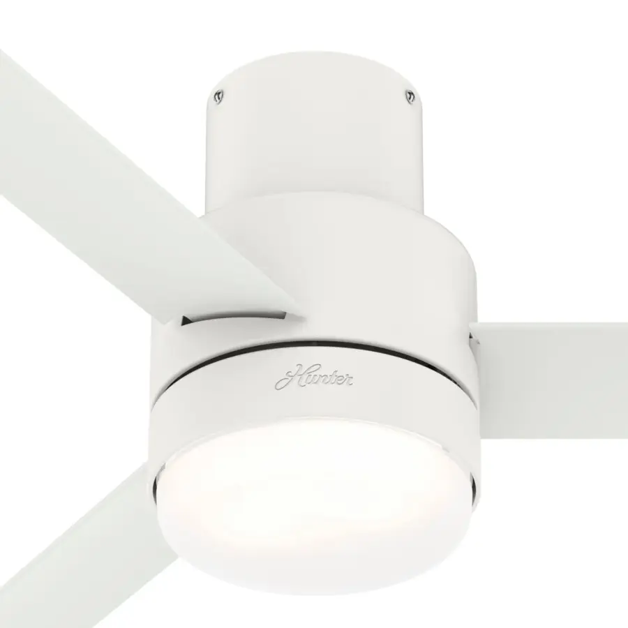 The Ceiling Fans by Hunter - Image 35