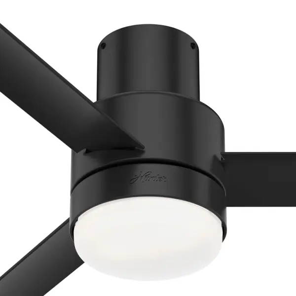 The Ceiling Fans by Hunter - Image 37