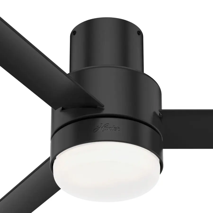 The Ceiling Fans by Hunter - Image 37