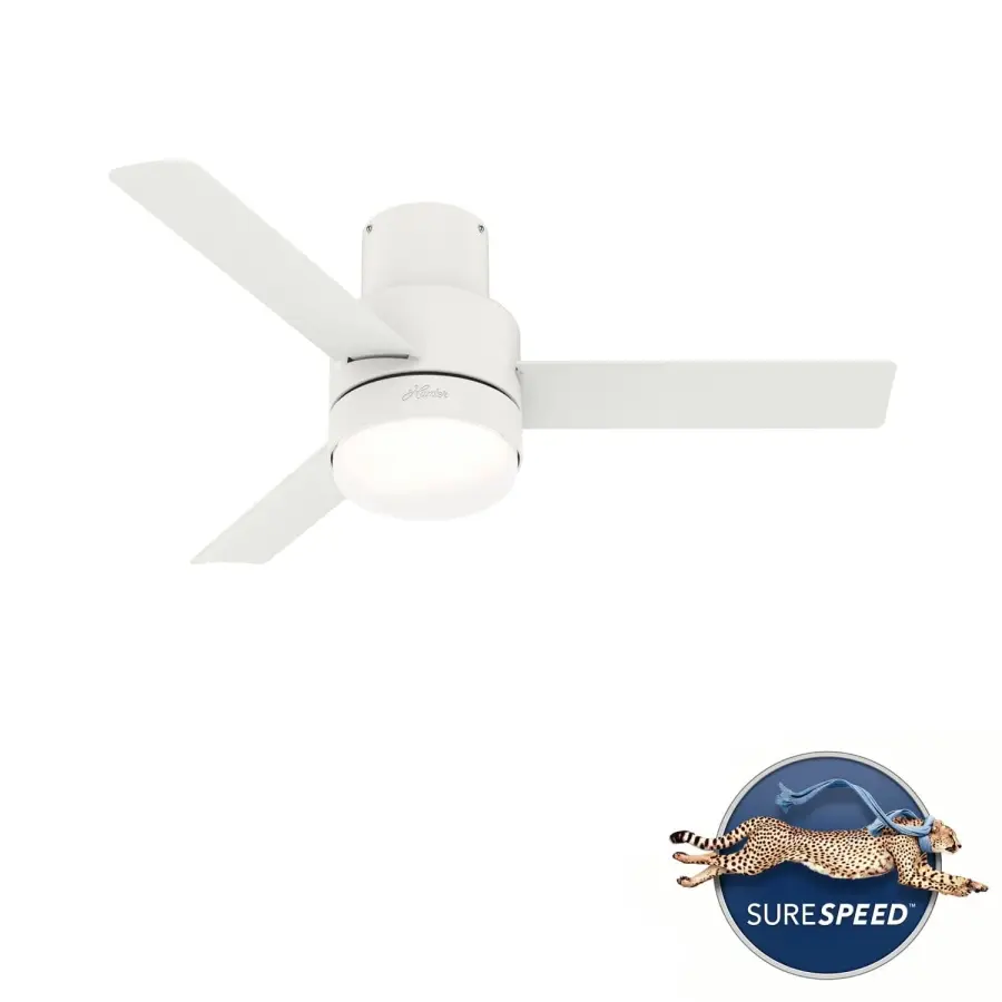 The Ceiling Fans by Hunter - Image 41
