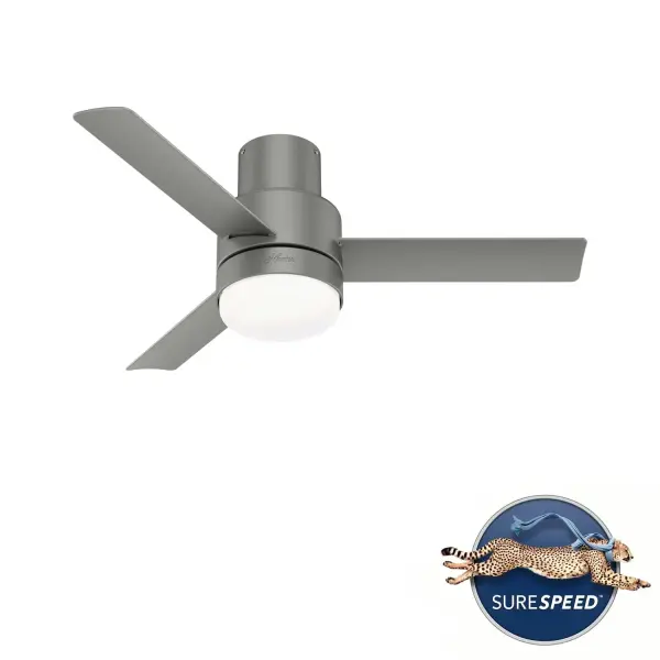 The Ceiling Fans by Hunter - Image 42