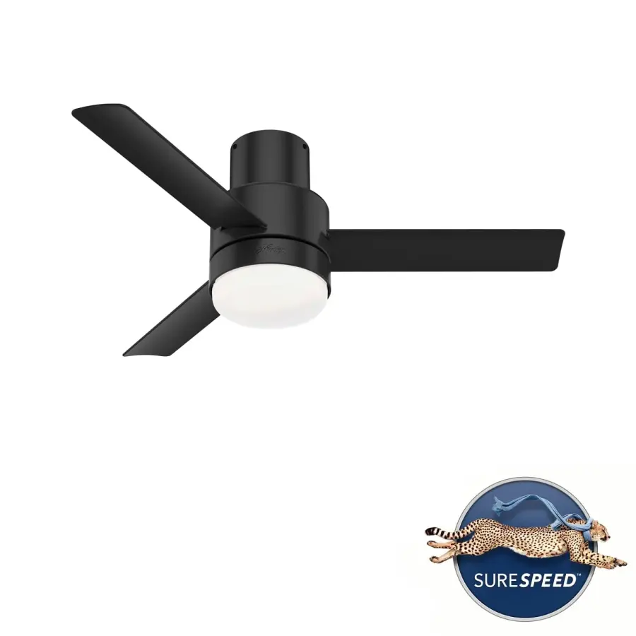The Ceiling Fans by Hunter - Image 43