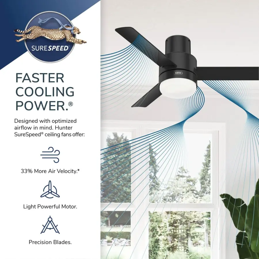 The Ceiling Fans by Hunter - Image 44